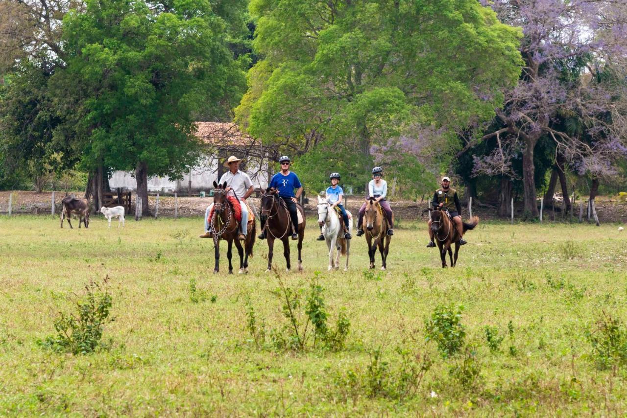 Pousada Fazenda Xaraes Todos os Santos Zewnętrze zdjęcie