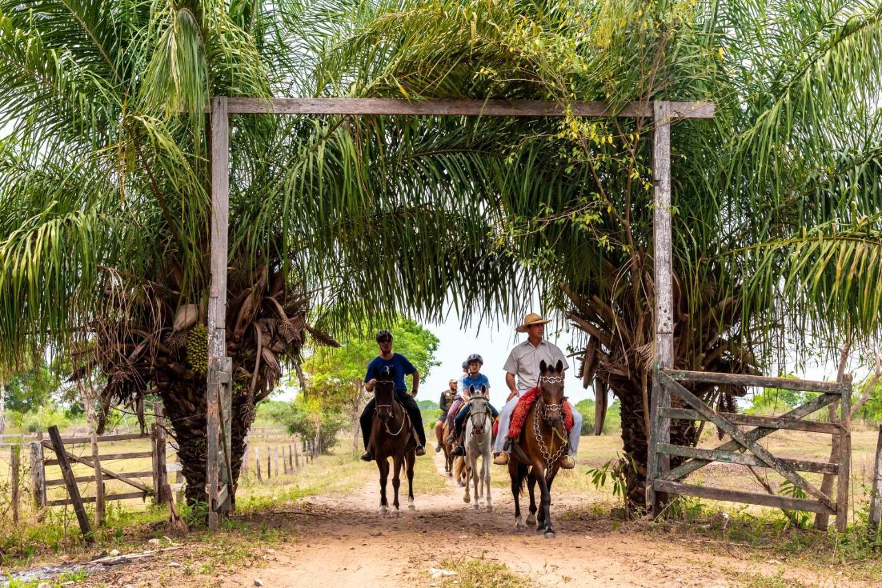 Pousada Fazenda Xaraes Todos os Santos Zewnętrze zdjęcie