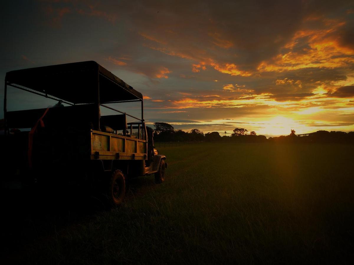 Pousada Fazenda Xaraes Todos os Santos Zewnętrze zdjęcie