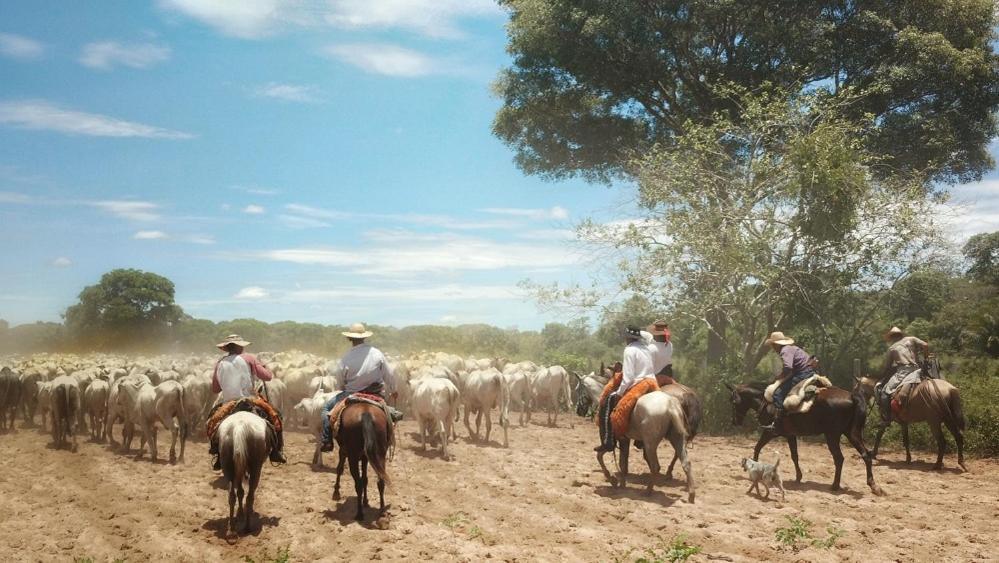 Pousada Fazenda Xaraes Todos os Santos Zewnętrze zdjęcie