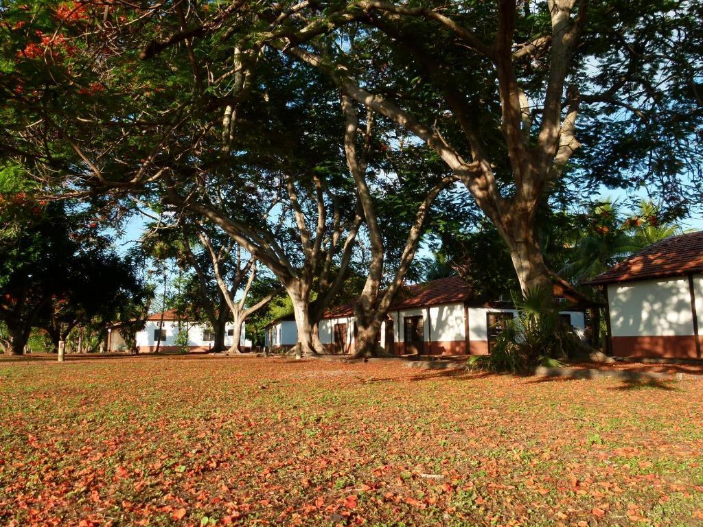 Pousada Fazenda Xaraes Todos os Santos Zewnętrze zdjęcie